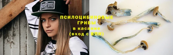 стафф Усинск