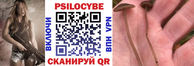 Галлюциногенные грибы MAGIC MUSHROOMS Нурлат