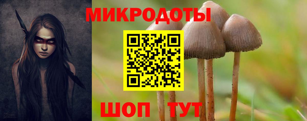 Псилоцибиновые грибы GOLDEN TEACHER Нурлат